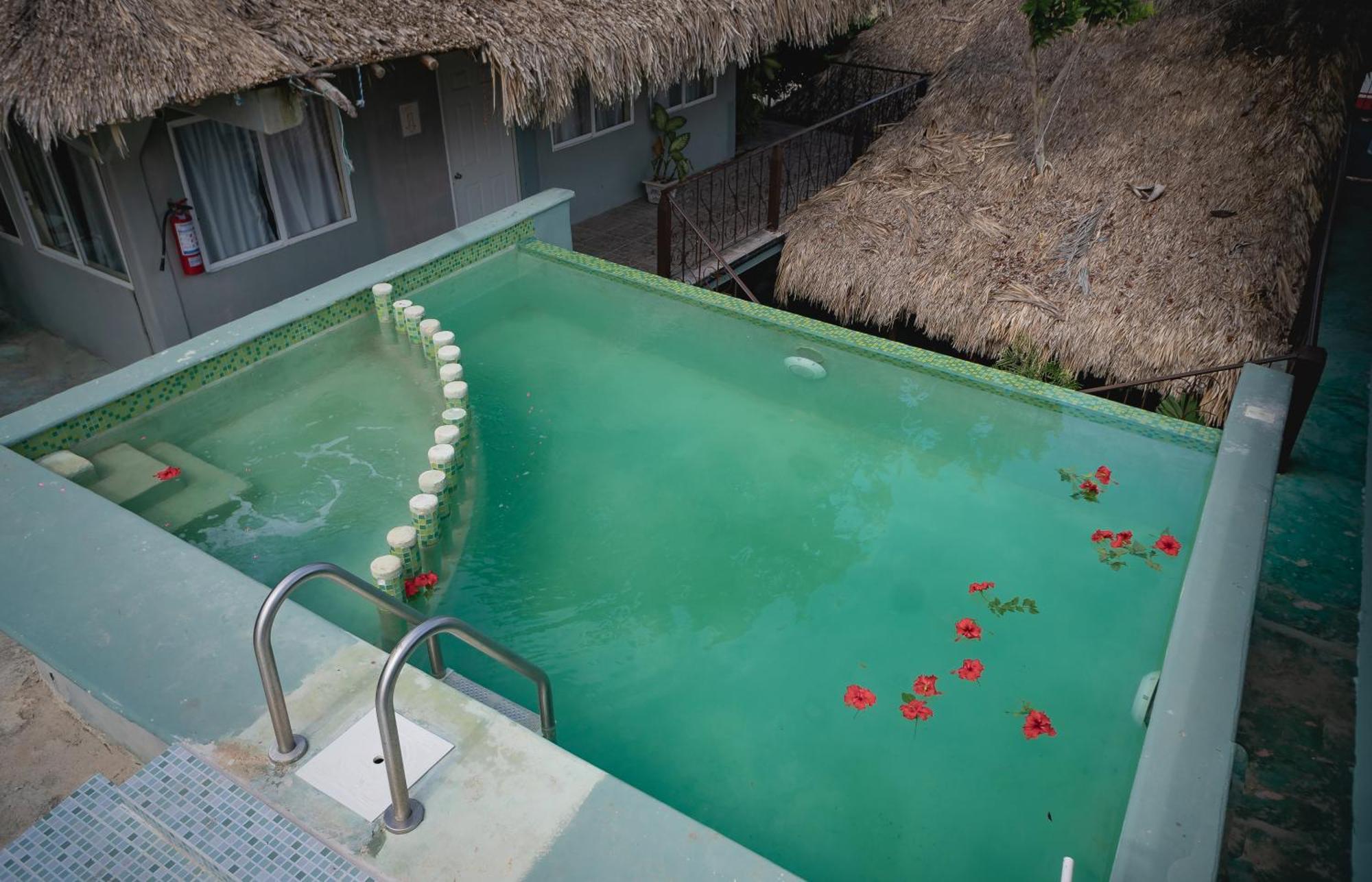 Mayan Villas Inn A Dream Vacation B & B Chiquila Kültér fotó